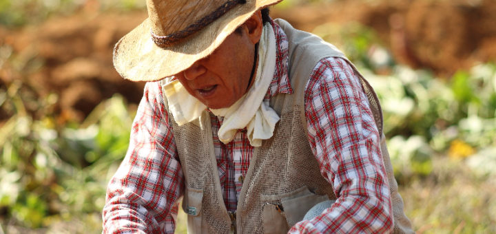 Farmers Work Boots