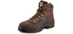 Irish Setter Ely 6