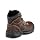 Irish Setter Ely 6