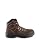 Irish Setter Ely 6